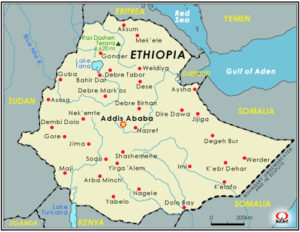エチオピア南部の町 アルバミンチ についてご紹介♬